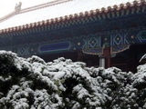 2011�걱�������һ��ѩ